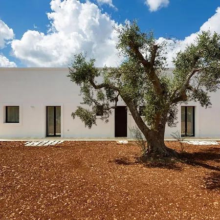 Casa Tra Gli Ulivi By Perle Di Puglia Ceglie Messapica
